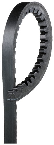 Cintura gates 6466mc per - cintura,